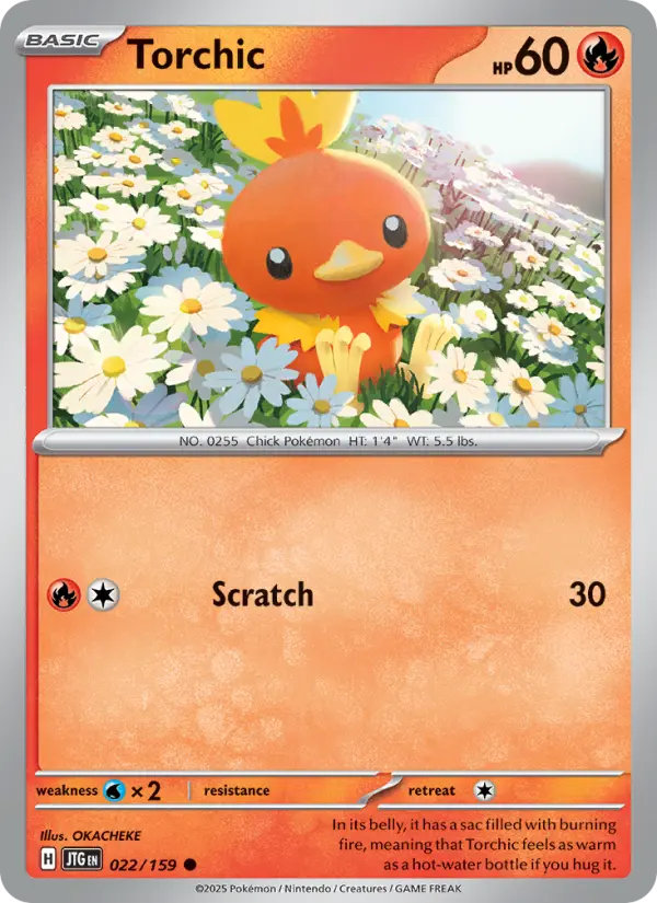 Torchic, Pokémon card