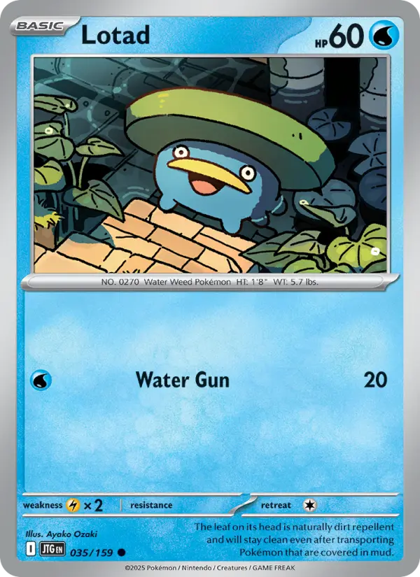 Lotad, Pokémon card