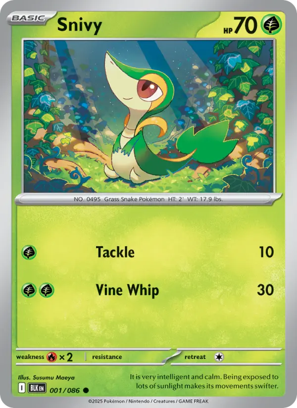 Snivy, Pokémon card