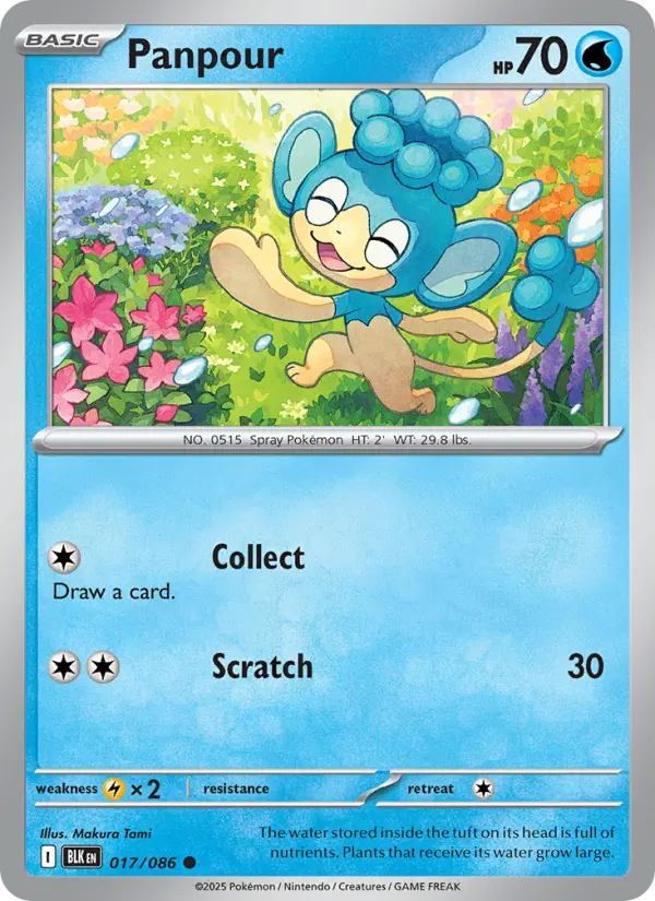 Panpour, Pokémon card
