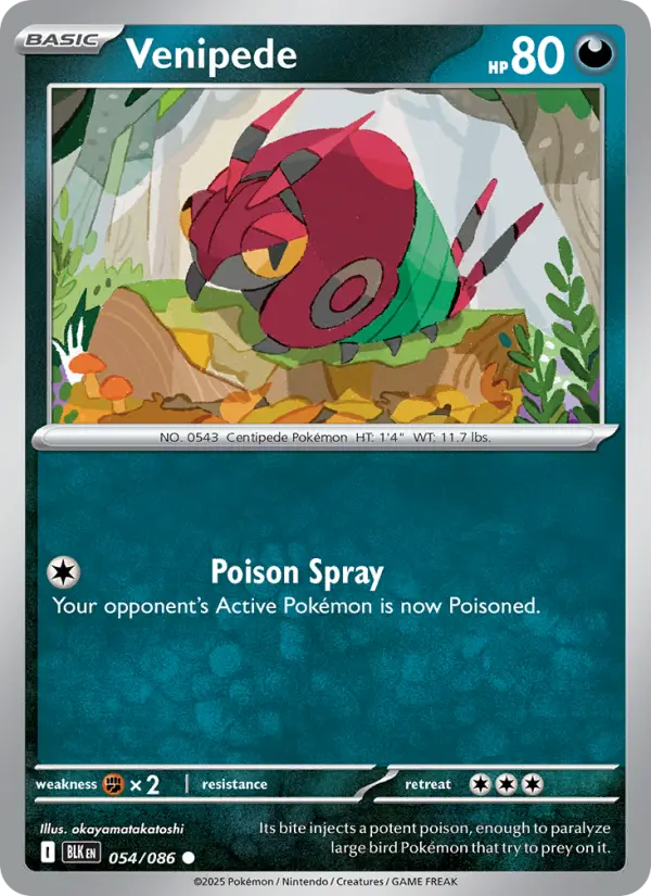 Venipede, Pokémon card