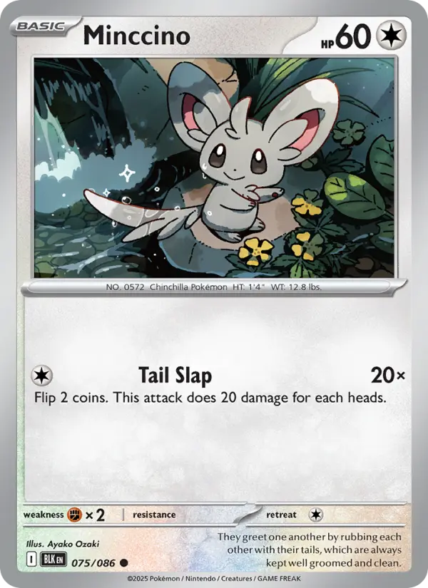 Minccino, Pokémon card