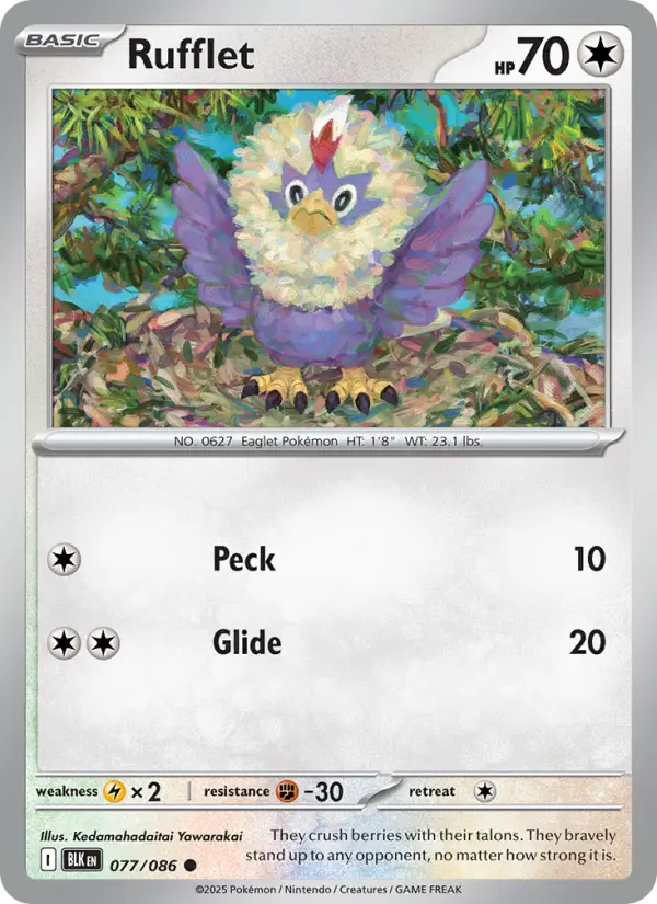 Rufflet, Pokémon card