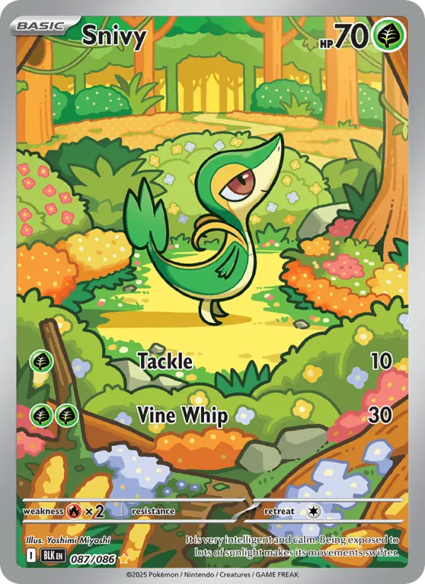 Snivy, Pokémon card