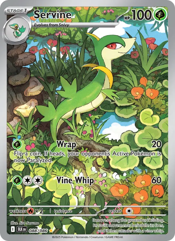 Servine, Pokémon card