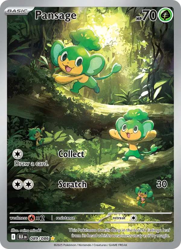 Pansage, Pokémon card