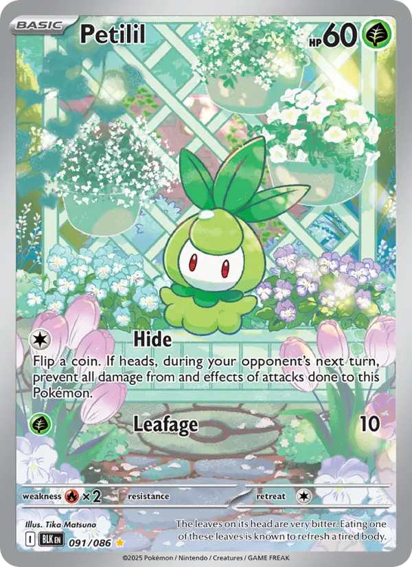 Petilil, Pokémon card