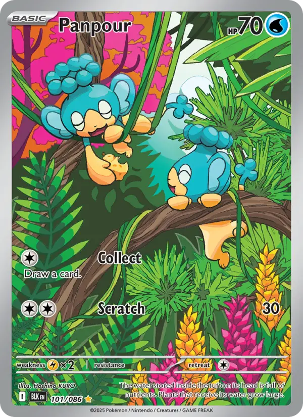 Panpour, Pokémon card