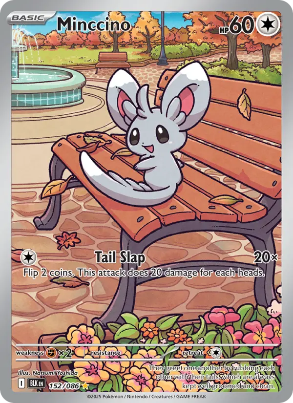 Minccino, Pokémon card