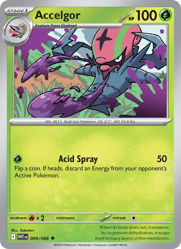Accelgor, Pokémon card