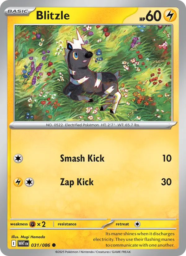 Blitzle, Pokémon card
