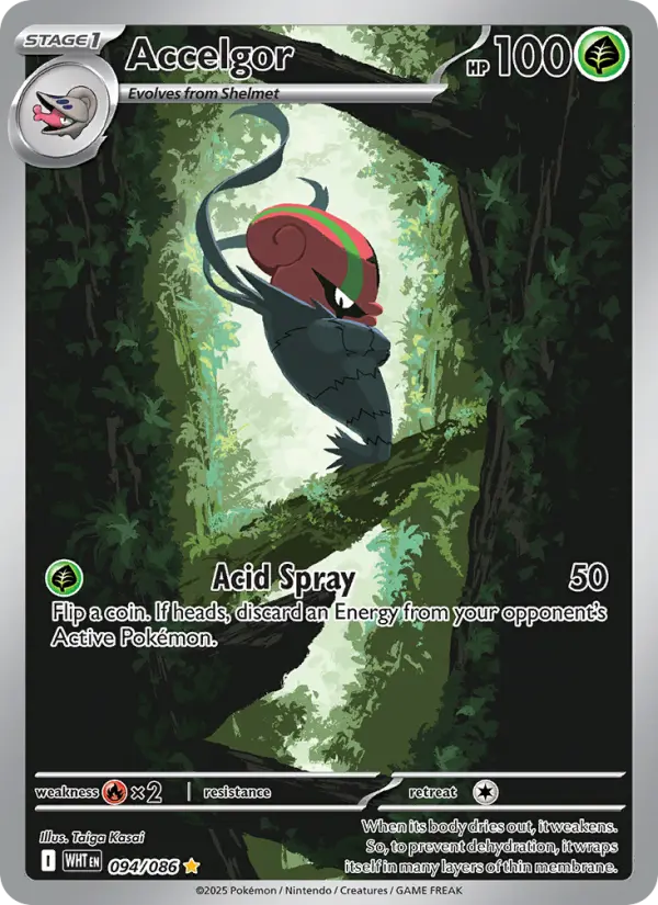 Accelgor, Pokémon card