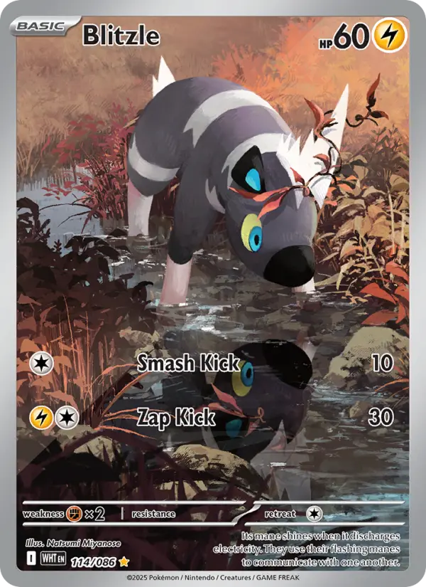 Blitzle, Pokémon card