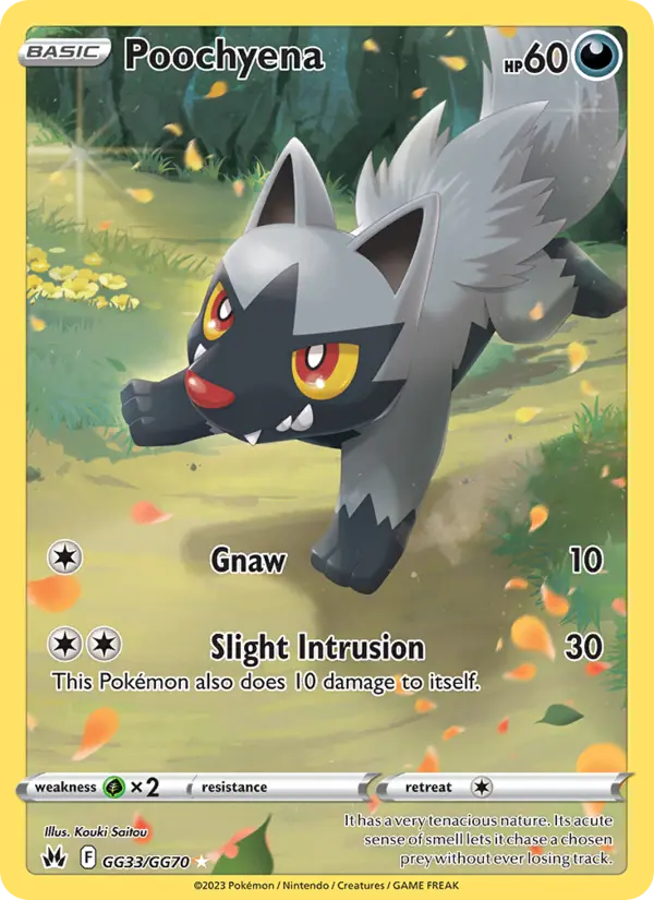 Poochyena, Pokémon card