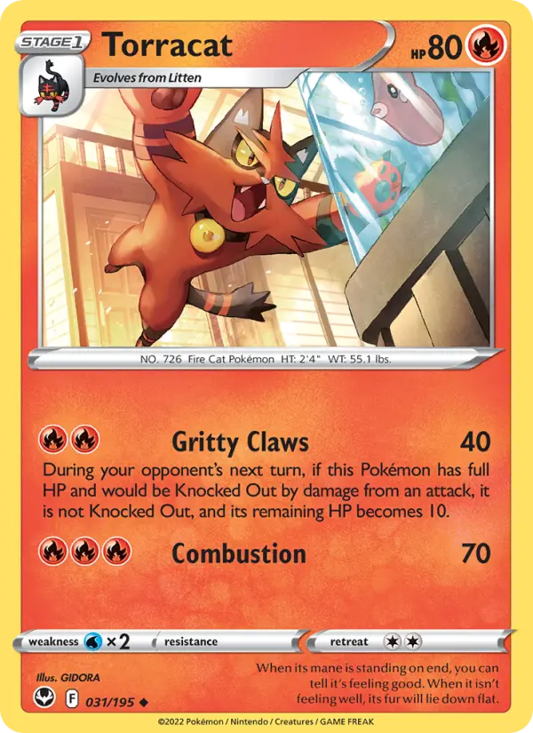 Torracat, Pokémon card