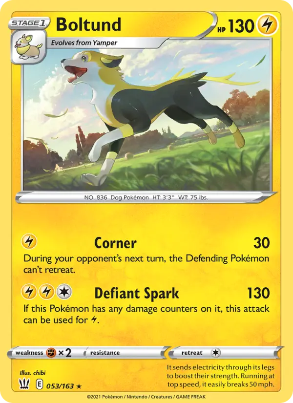 Boltund, Pokémon card