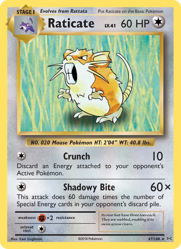 Raticate, Pokémon card