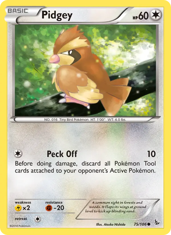 Pidgey, Pokémon card