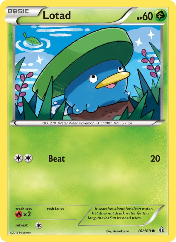 Lotad, Pokémon card