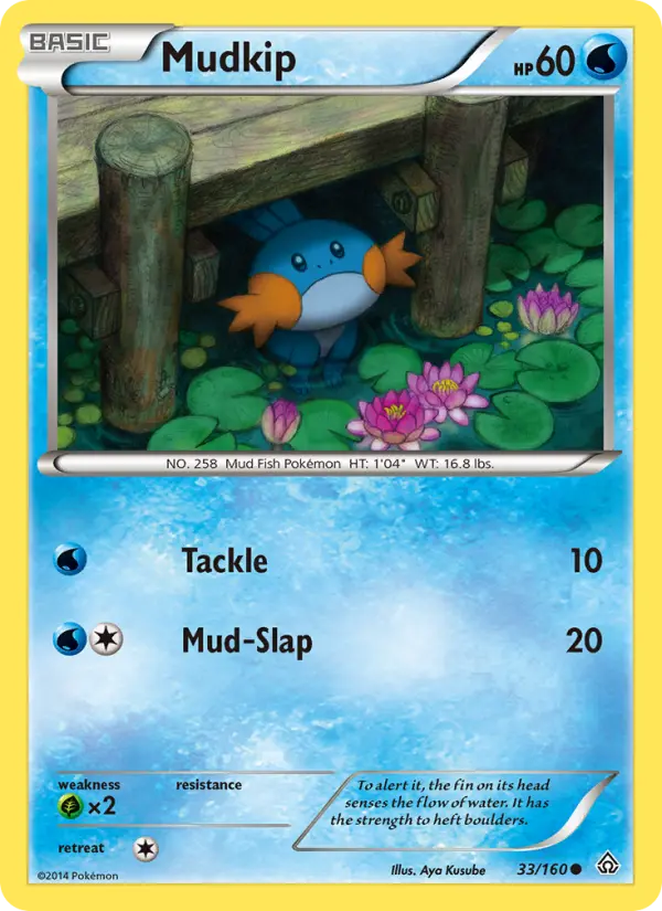 Mudkip, Pokémon card