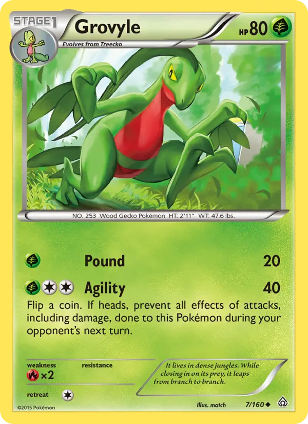 Grovyle, Pokémon card